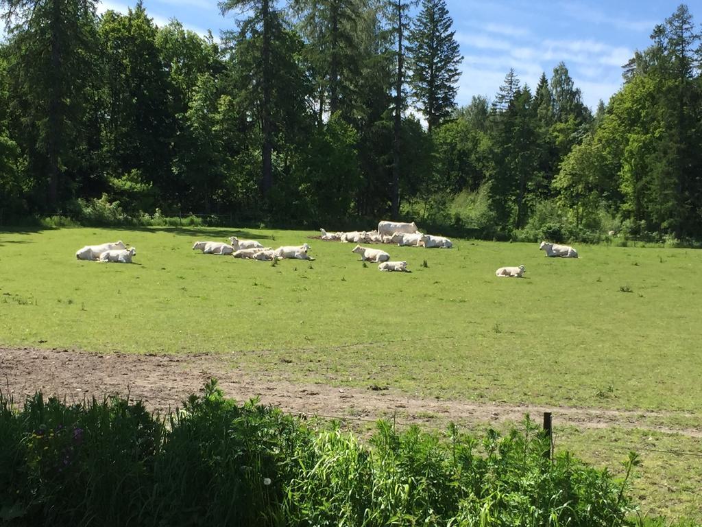 Villa Tuomiranta Sannas Eksteriør billede